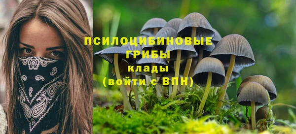 прущие грибы Нягань
