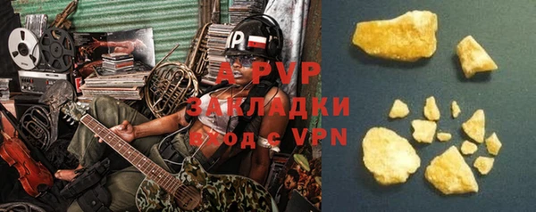 прущие грибы Нягань
