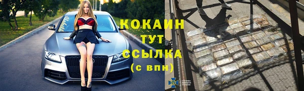 прущие грибы Нягань