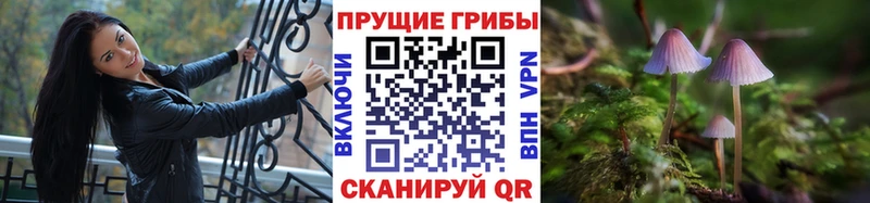 Галлюциногенные грибы ЛСД  гидра сайт  Ялуторовск  дарнет шоп 