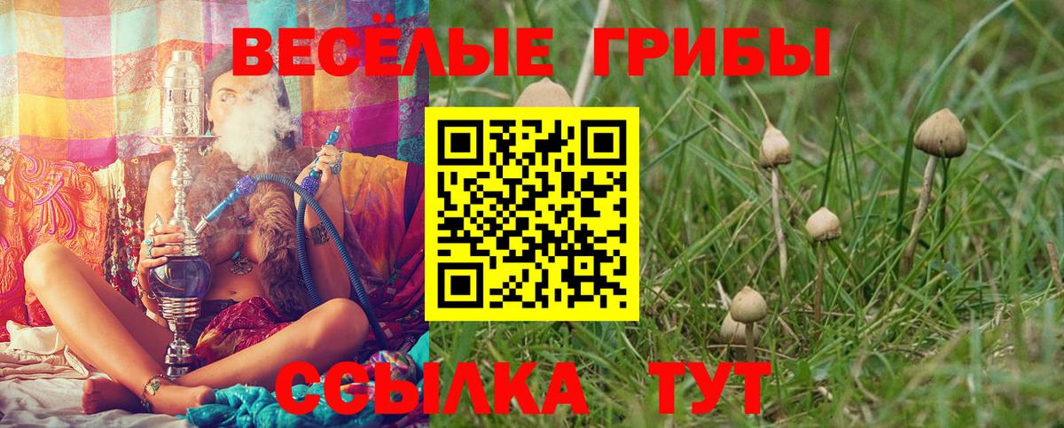 Псилоцибиновые грибы Magic Shrooms  Вход с VPN  Ялуторовск 